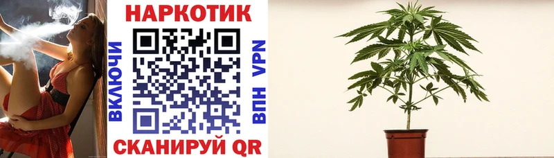 Купить наркоту Сураж АМФЕТАМИН  МАРИХУАНА  A-PVP  Мефедрон  ГАШИШ 