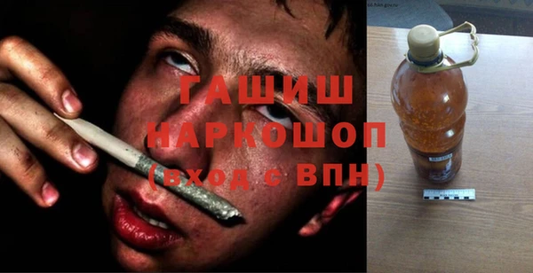 шишки Надым