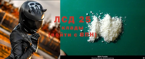 шишки Надым