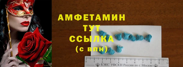 шишки Надым