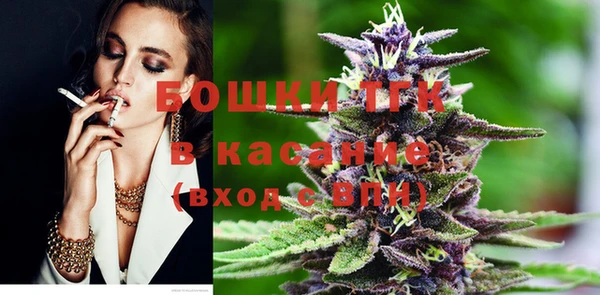 шишки Надым