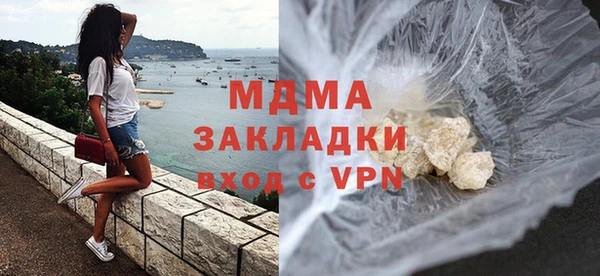 шишки Надым