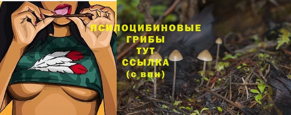 MDMA Premium VHQ Михайловка