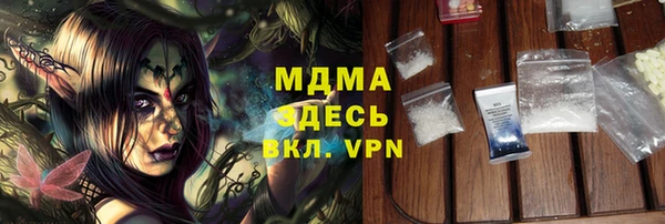 шишки Надым