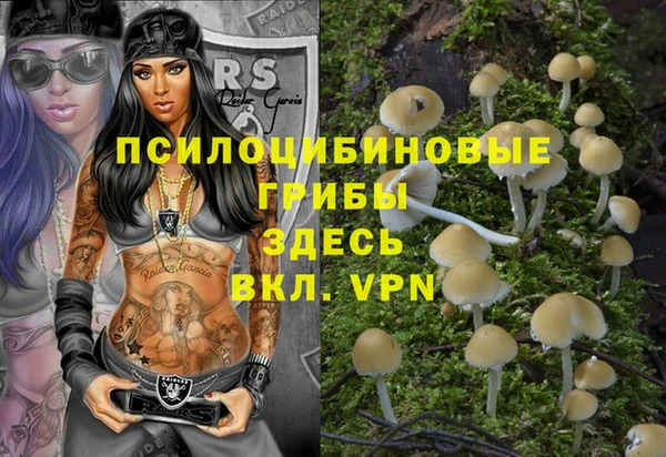 шишки Надым