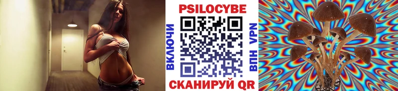 Псилоцибиновые грибы мицелий  Сураж 